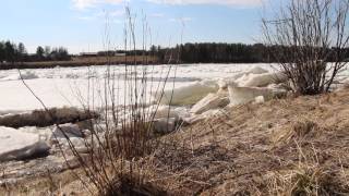 Departure of Ice  jäidenlähtö  Tornionjoki River  Pello  Lapland Finland [upl. by Enniroc]