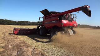 Harvest 2014 Case 3152 draper header [upl. by Lubow]