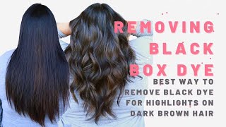 Removing Black Box Dye Color Correction BEST WAY TO REMOVE BLACK DYE FOR HIGHLIGHTS ON BROWN HAIR [upl. by Anitel]