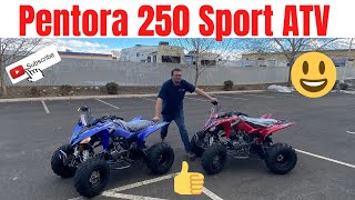 Vitacci Pentora 250 Sport Review In Blue  Yamaha Raptor Clone [upl. by Langley]