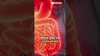 Gallbladder The Unsung Hero of Digestion shortvideos viral shorts [upl. by Av]