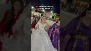 ozanahmetsilopi sperti aşiretdüğünü dugun hozanahmetsilopi düğün gelin wedding halay [upl. by Liddie156]