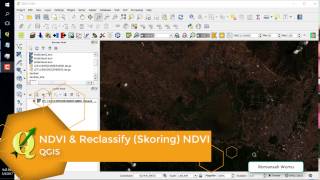 QGIS  NDVI and Reclassify [upl. by Pine866]