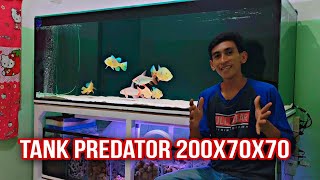 Harga dan Spek Tank Predator 200x70x70 full 12 ml Asahi mas Gosok Halus  Aquarium jepit  tabok [upl. by Anaiek]