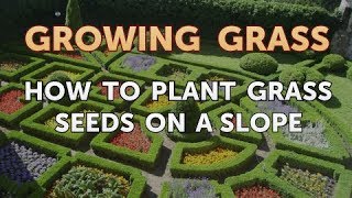 How to Plant Grass Seeds on a Slope [upl. by Torr860]