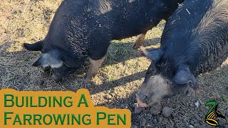 Building A Farrowing Pen [upl. by Artenahs]