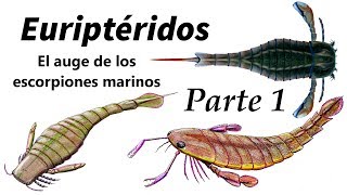 Euriptéridos Parte 1 el auge de los escorpiones marinos [upl. by Blase]