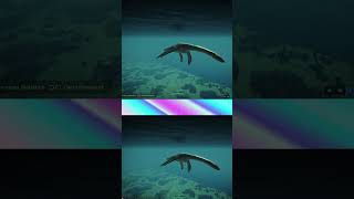 Ancient Marine Reptiles in Jurassic World Evolution 2 [upl. by Latsyrhk621]