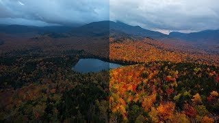 Enhance Your Fall Colors  Photoshop Tutorial [upl. by Chara1]