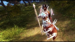 GW2  Legendary Armor [upl. by Buttaro]