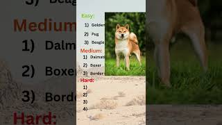 🐶 Guess the Dog Breed Challenge Easy Medium Hard 🐾 [upl. by Park420]