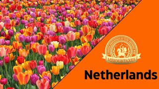 MEIOU amp Taxes Netherlands  Part 2 [upl. by Latsirk]