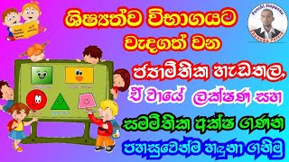 ජ්‍යාමිතික හැඩතල  Maths Lesson  Shapes amp Solids in Sinhala  Jayamithika Hadathala  Gana Wastu [upl. by Greene741]