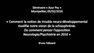 La schizophrénie comme trouble neurodéveloppemental [upl. by Ahtiek386]