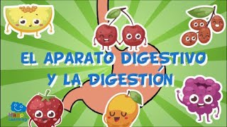 EL APARATO DIGESTIVO Y LA DIGESTIÓN  Videos Educativos para Niños [upl. by Obnukotalo]