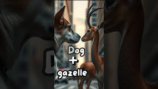 Unreal Hybrid The DogGazelle Fusion in 16K DogGazelle hyperrealisticdrawing viralvideo [upl. by Eibbob]