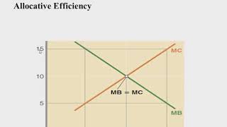 Opportunity Cost and TradeOffs [upl. by Pedrick]