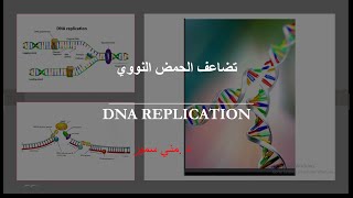 تضاعف الحمض النووي محاضرة تفاعليةالجزء 1 DNA replication دمنى سمير عبداللطيف [upl. by Blondie]