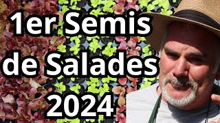 Les premiers Semis de Salades en Plaques Alvéolées 2024 [upl. by Metabel]