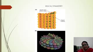 MSc Botany SemI PaperIV Lect01 Virus Structure amp Classification [upl. by Peursem76]