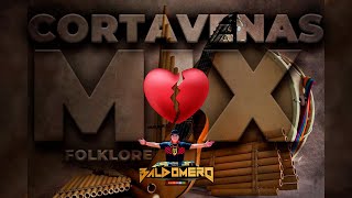 MIX CORTAVENAS FOLK 🇵🇪 DJ BALDOMERO  Mac Salvador  Max Castro  CURI  Antoligia  Ronny Manchego [upl. by Enelloc59]