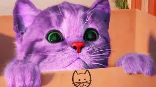 Play Little Kitten My Favorite Cat Pet Care Game  Fun Baby Kitten Animation Mini Games For Children [upl. by Gereld]