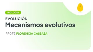 Mecanismos evolutivos  Biología  Evolución  V6  Egg Educación [upl. by Dralliw]