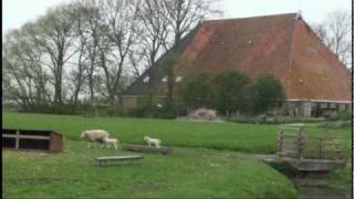 Friesland Holland Farm Visit [upl. by Ttenyl763]