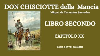 DON CHISCIOTTE DELLA MANCIA di Miguel Cervantes LIBRO SECONDO CAPITOLO 20 [upl. by Tarkany]