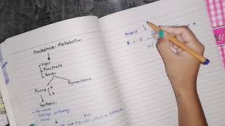 Purine Synthesis part 1 nucleotideMetabolism biochemistry [upl. by Jake]