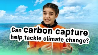 What is carbon capture and can it help slow climate change  Wonderlab Science Museum  science [upl. by Newra751]