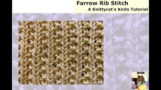 Farrow Rib Stitch Easy 1row Repeat a Knittycats Knits Tutorial [upl. by Drake]