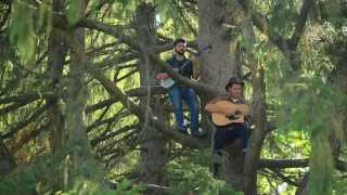 Evergreen  The Okee Dokee Brothers [upl. by Rosemari]