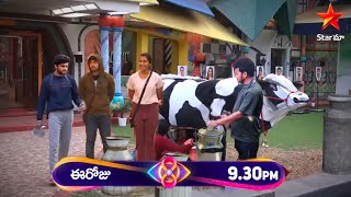 Palu poyyu Nikhi Thataaa tiyyuBigboss 8 TeluguTicket to finale 🐄 cow Milk task Latest promo [upl. by Eyatnod]