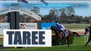 【TAREE】 AUSTRALIA HORSE RACE ANALYSIS [upl. by Inalel]