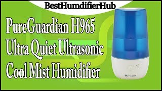 PureGuardian H965 UltraQuiet Ultrasonic Cool Mist Humidifier Review [upl. by Kerad591]