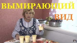 Вы думаете что видели деревню зрители про ипотеку [upl. by Broddie]