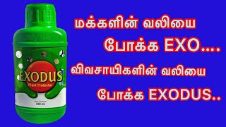 வெயில் காலத்தில் அனைத்து பயிர்களுக்கும் சிறந்த மருந்து EXODUSinsecticidemitesagriculture [upl. by Hardwick]