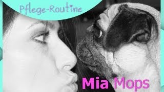 Mia Mops Pflege Routine [upl. by Nivrag]