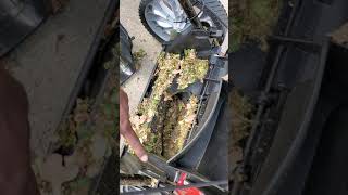 Install bag on TroyBilt TB160 Lawn Mower [upl. by Salomi277]