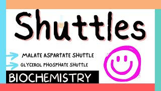 Shuttles  Malate amp Glycerol phosphate shuttles  Biochem  MBBS 1st year [upl. by Godderd]