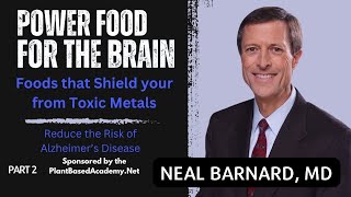 Power Food for the Brain  Foods that Shield You from Toxic Metals  Part 2 [upl. by Yhotmit]