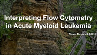 Interpreting Flow Cytometry in Acute Myeloid Leukemia Approach and Key Findings [upl. by Irrak188]