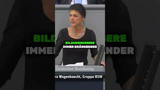 Regierung ignoriert Wähler Nützliche Idioten der Waffenindustrie Sahra Wagenknecht bundestag [upl. by Haneehs]