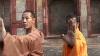 Shaolin Kungfu India [upl. by Brosy]