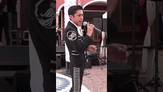 Popurrí Juan Gabriel Short  Mariachi Los Galleros De Danny Rey [upl. by Landre]