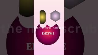 Enzyme Kinetics Biological Catalysts shortvideo shorts viralshorts enzymes [upl. by Vaasta]