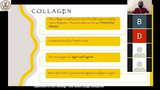 Structure of Periodontal Ligament Part I  Department of oral Pathology [upl. by Kciredec]