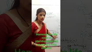 Homosprous life cycle of pteridophytes Biology  NCERT [upl. by Abocaj]