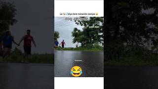 do mega pixels ka camera on karkedog funny shortscomedyshortsfunnytrendingviralshortsviralvid [upl. by Mik]